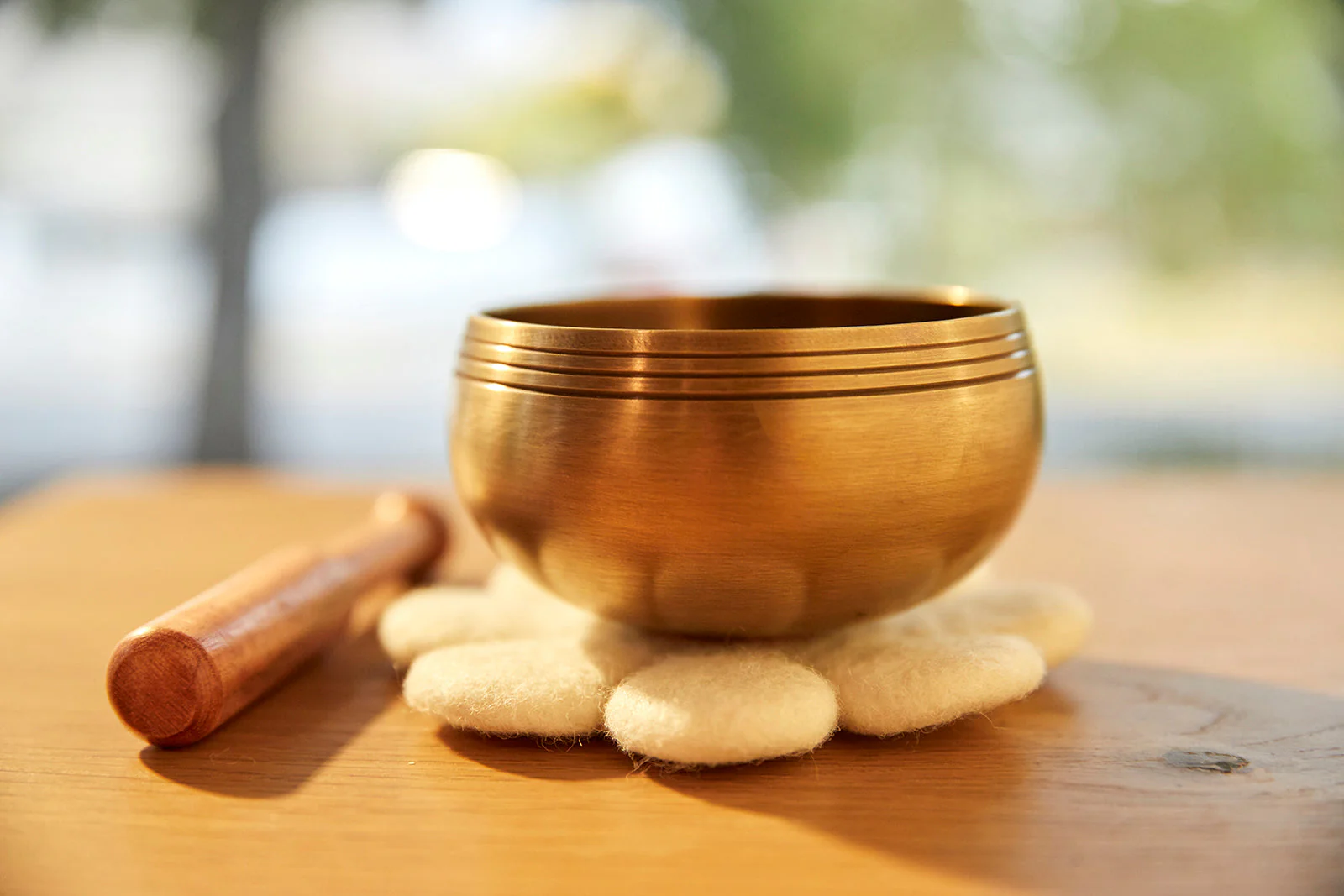 Sprout: 3.5 Inch Bronze Singing Bowl Made Just For Kids Mindfulness Special Design Cushion - Image 12