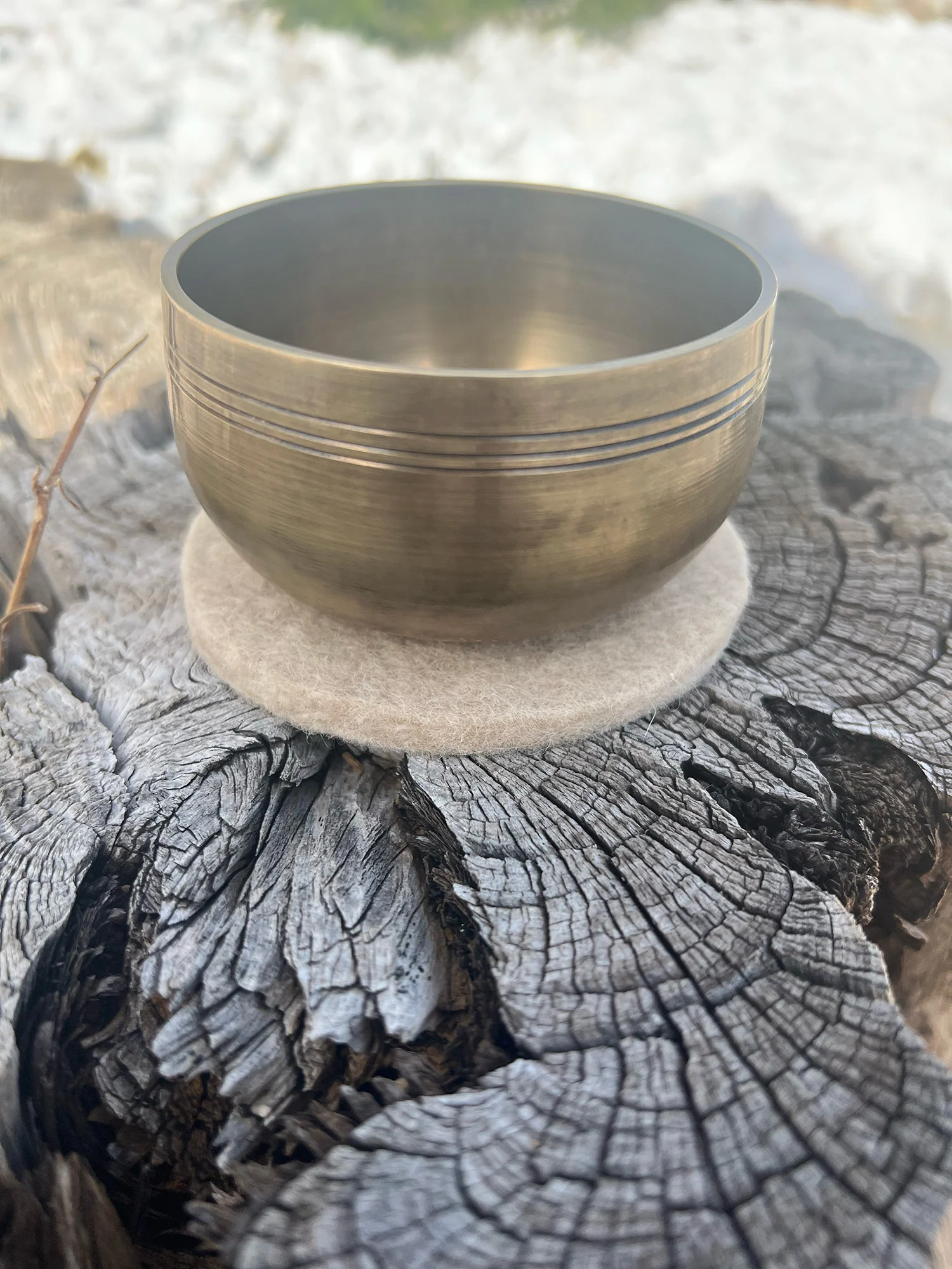 The Auster Bowl - 4 inch | Special Collaboration Limited Release - Image 14